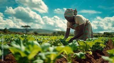 Successful African farmer in field